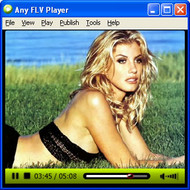 Any FLV Player screenshot